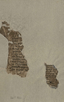 Agenda wybierania ministr&oacute;w