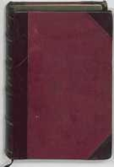 Kr&oacute;l i Bondarywna: powieść ; Dziś i lat temu trzysta: studyum obyczajowe