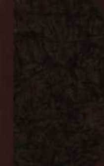 J&oacute;zef Ignacy Kraszewski : szkic biograficzno-krytyczny