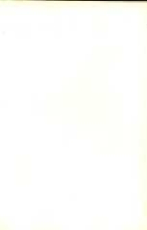 Prawo zastawu w zwierciadłach saskiem, szwabskiem i niemieckiem