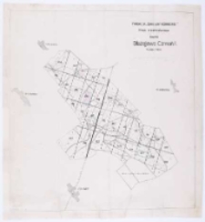 Fundacja "Zakłady K&oacute;rnickie". Mapa drzewostanowa rewiru Błażejewo, Czmoń I.