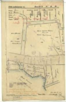[Plan rozparcelowanych grunt&oacute;w Fundacji "Zakłady K&oacute;rnickie"]. Szkic podstawowy. Powiat Śrem. Obręb Bnin. 14 VII 38 [...] , [wyk.] Koenig-Zdanowski.