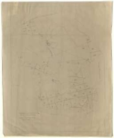 Fundacja "Zakłady K&oacute;rnickie". Mapa drzewostanowa las&oacute;w trzebawskich. Wykonał St. Haberka.