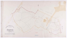 Fundacja "Zakłady K&oacute;rnickie". Folwark Bieganowo. Przekopiował z mapy katastralnej Teofil Szczebliński