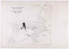 Fundacja "Zakłady K&oacute;rnickie". Mapa drzeworytowa rewiru Czołowo, Bielawy, Mieczewo [...].