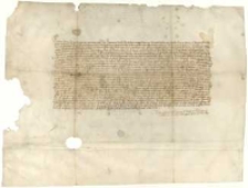 [Transumpt dokumentu kr&oacute;la Władysława Jagiełły wystawionego w Sandomierzu 23.05.1386 r., w kt&oacute;rym nadał on prawo g&oacute;rnicze w Żupach Solnych Janowi wojewodzie sandomierskiemu, Spytkowi wojewodzie krakowskiemu i Spytkowi podkomorzemu krakowskiemu oraz ich następcom].