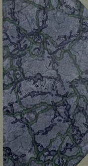 Sur l'amour de la patrie par Zamoyska. Un &eacute;pisode de la pers&eacute;cution des Unites en Pologne par Ottonowna