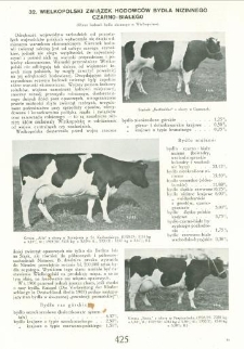 Wielkopolski Związek Hodowc&oacute;w Bydła Niznnnego Czarno-Białego